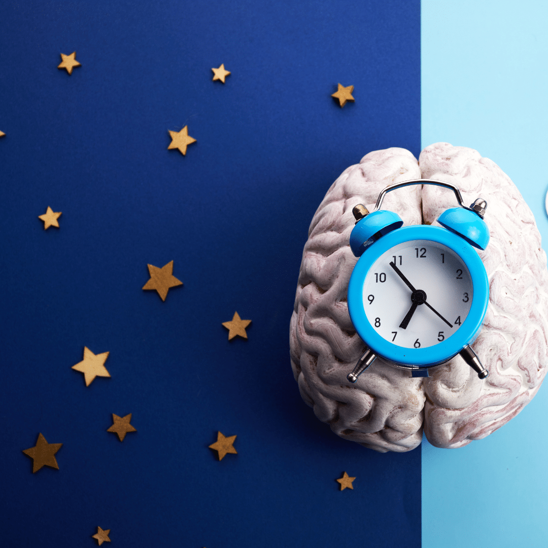 a produção de melatonina aumenta com a escuridão