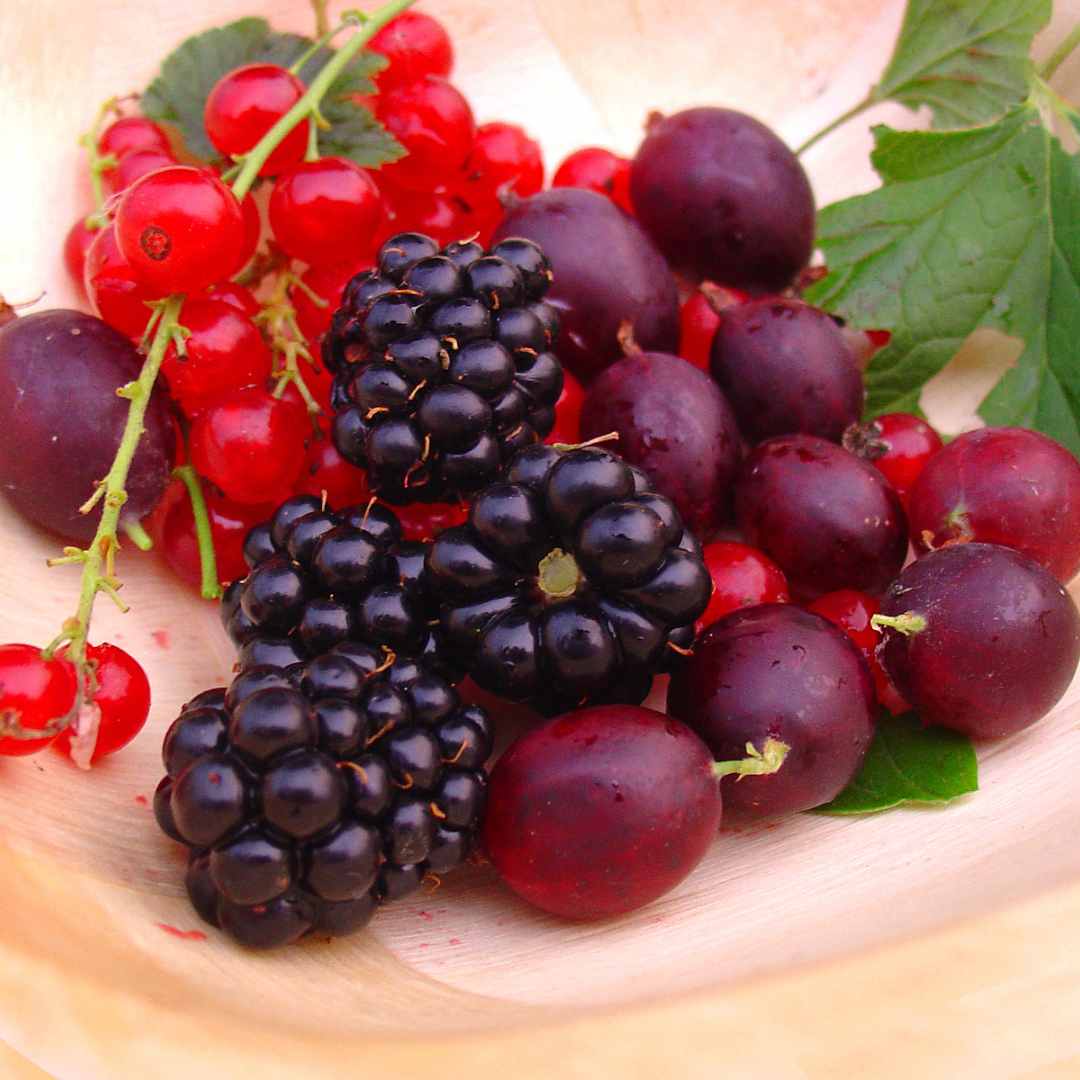 Retarde o envelhcimento consumindo frutas vermelhas