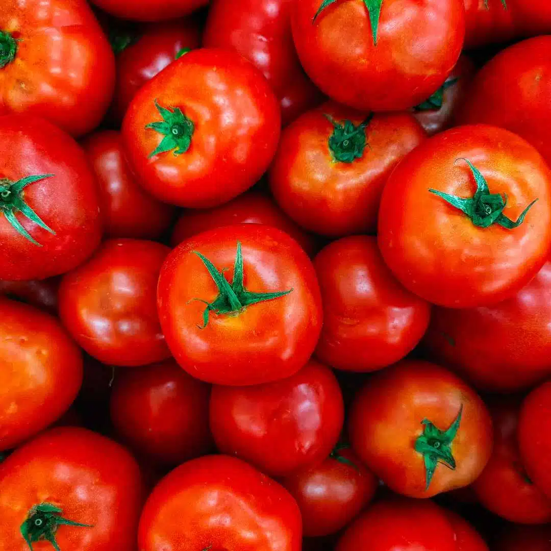 Tomate é um excelente alimento anti-envelhecimento