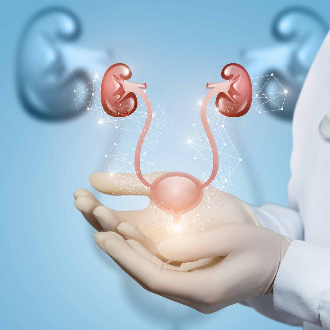 Principais causas incontinência urinária em idosos de Brasília DF