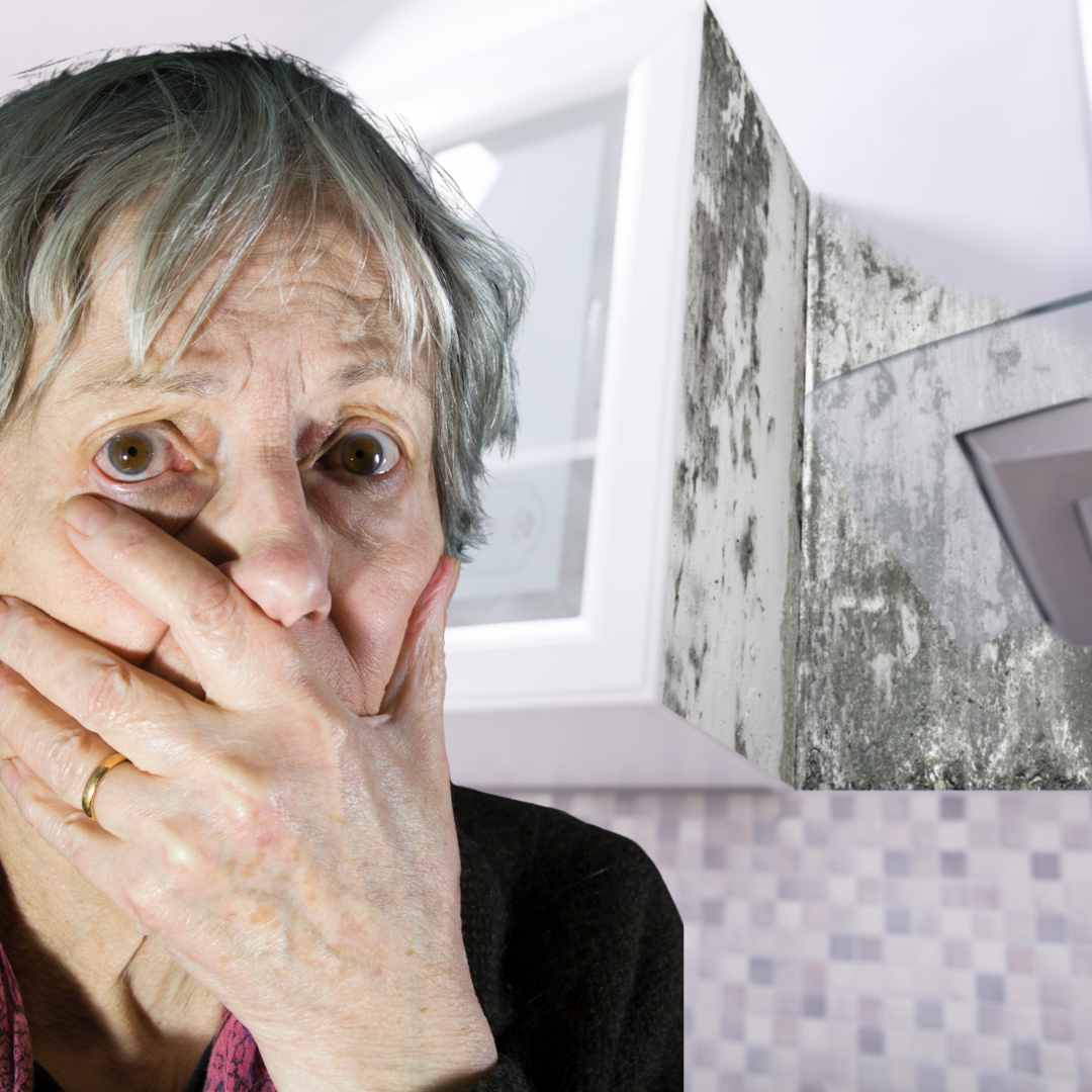 Mofo causa asma em idosos do DF