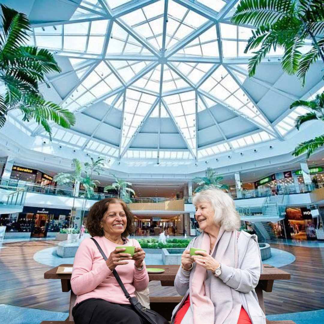 Saúde Mental do Idoso DF